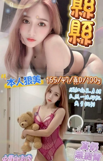 桃園定點茶-縣縣/165/47/?/D