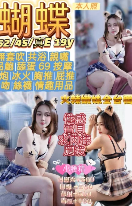 桃園定點茶-蝴蝶/162/45/19/E