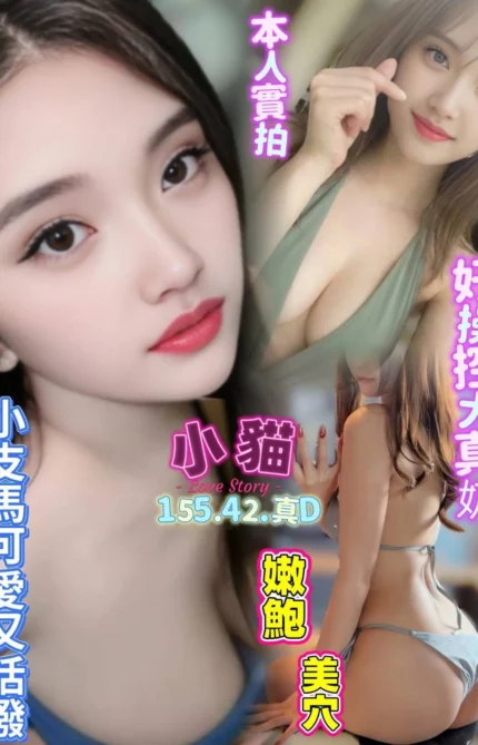 高雄定點茶-小貓/155/42/22/D