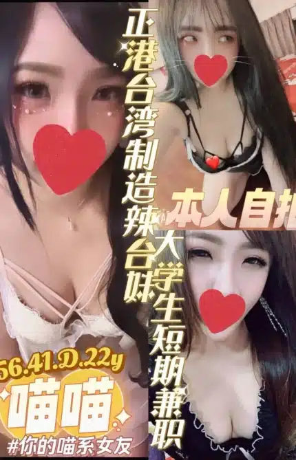 台南定點茶-喵喵/156/41/22/D