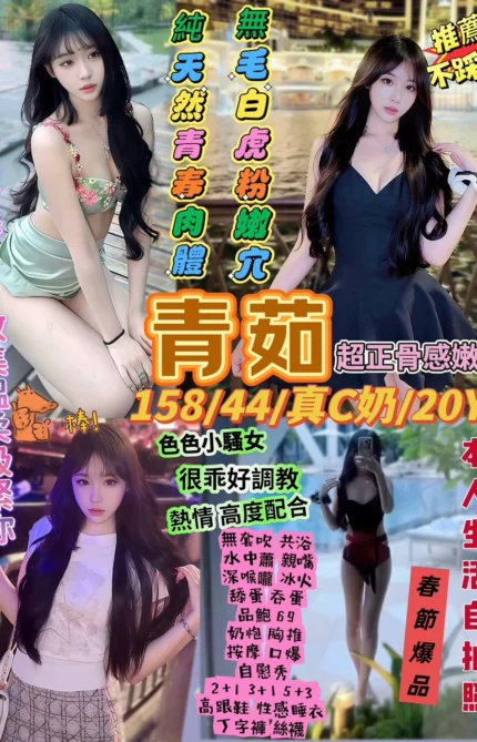 台北定點茶-青茹/158/44/20/C