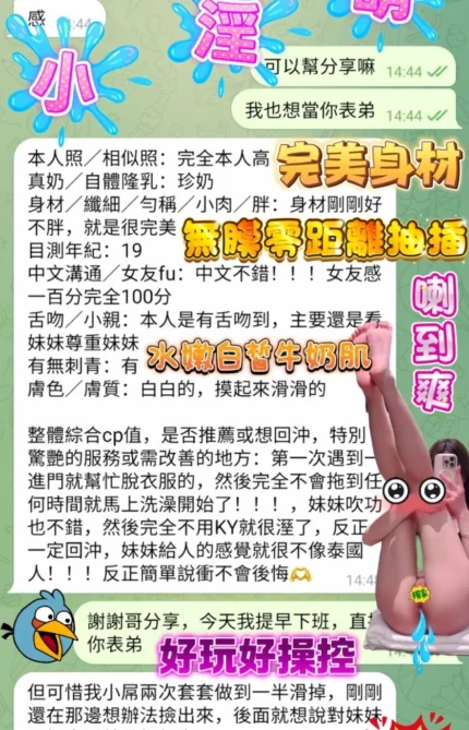 高雄定點茶-小淫萌/155/43/19/D