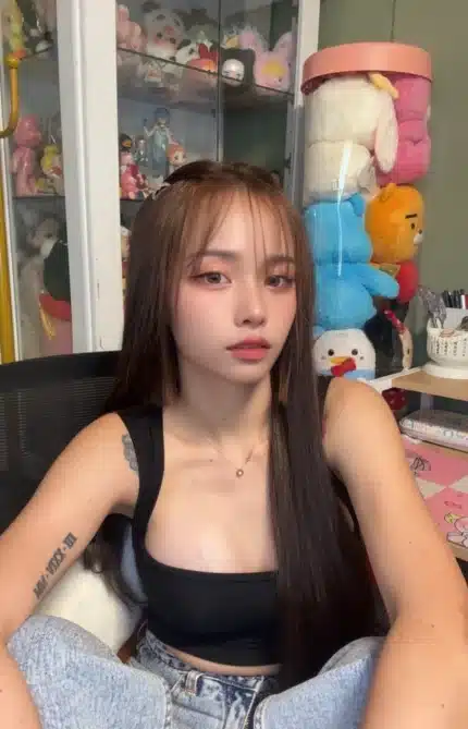 桃園定點茶-松島楓/160/47/24/D