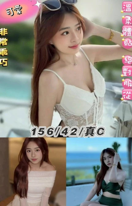 台北定點茶-可愛/156/42/22/C