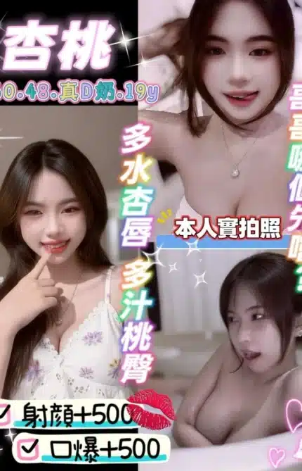 桃園定點茶-杏桃/160/48/19/D