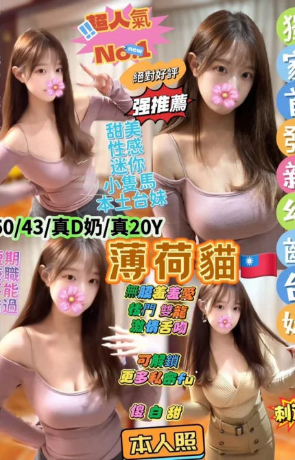 台北定點茶-薄荷貓/150/43/20/D