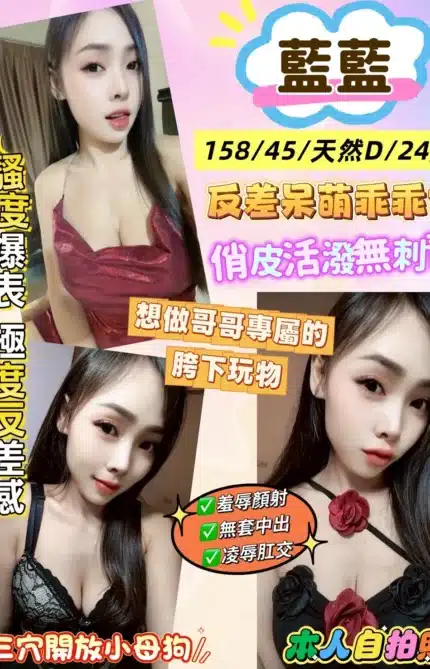 新北定點茶-藍藍/158/45/24/D