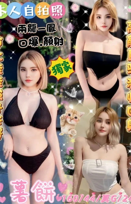 雲林定點茶-薯餅/160/44/24/G