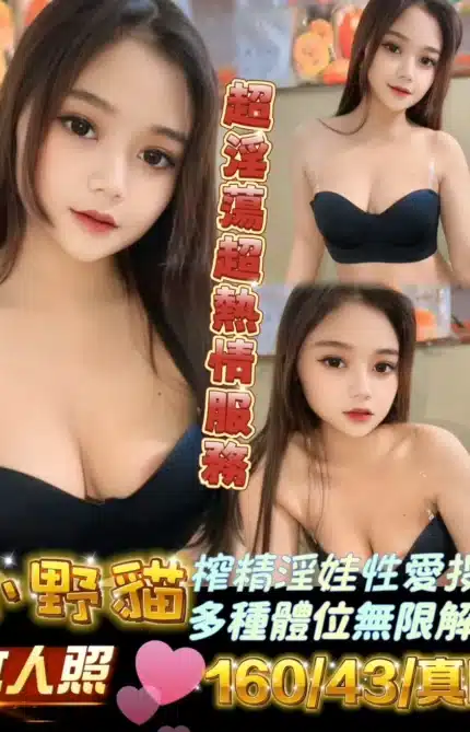 雲林定點茶-小野貓/160/43/?/E