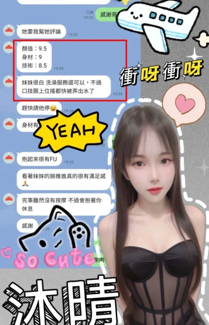 台中定點茶-沐晴/151/41/20/C