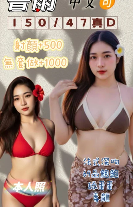 新北定點茶-書雨/150/47/?/D