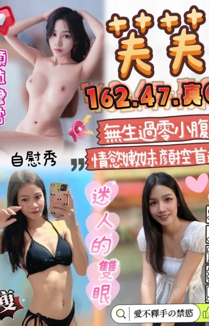 雲林定點茶-芙芙/162/47/?/C