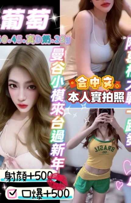 桃園定點茶-葡萄/160/45/23/D