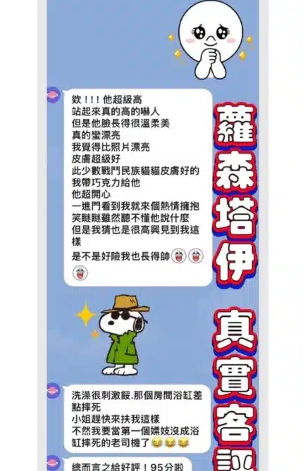 桃園定點茶-蘿森塔伊/178/55/22/D