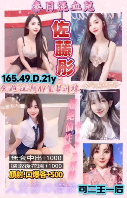 桃園定點茶-佐藤彤/165/49/21/D