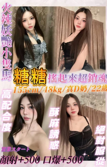 基隆定點茶-糖糖/155/48/22/D