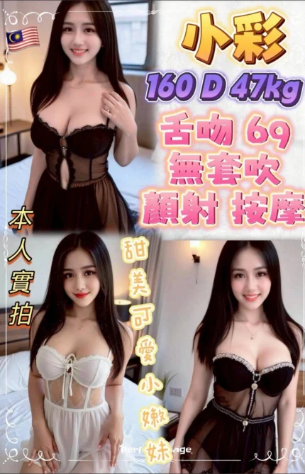 新北定點茶-小彩/160/47/?/D