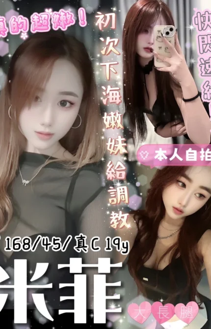 台中定點茶-米菲/168/45/19/C