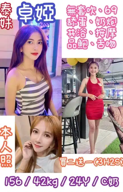 新北定點茶-卓婭/156/42/24/C