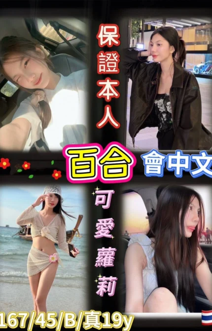 台北定點茶-百合/167/45/19/B