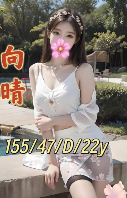 台南外送茶-向晴/155/47/22/D