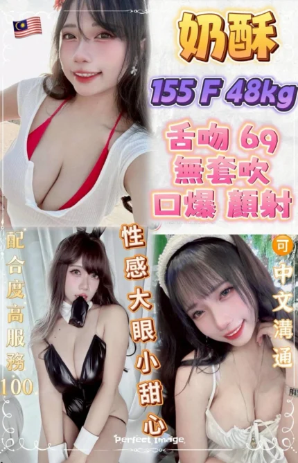 台北定點茶-奶酥/155/48/?/F