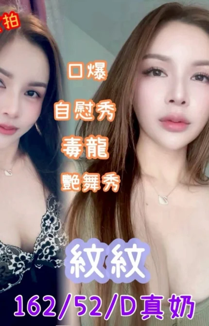 嘉義定點茶-紋紋/162/52/?/D