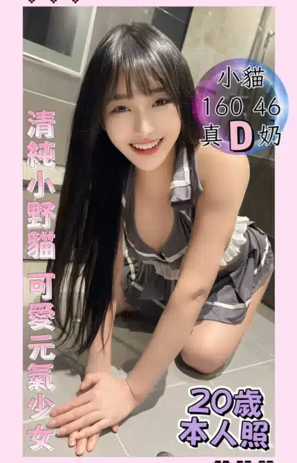 台中定點茶-小貓/160/46/20/D