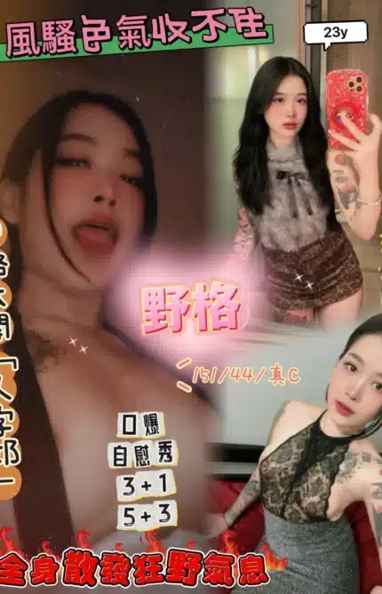 新竹定點茶-野格/151/44/23/C