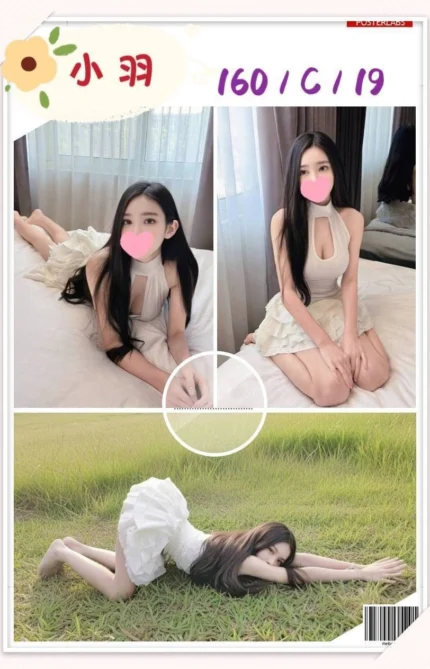 台北外送茶-小羽/160/?/19/C