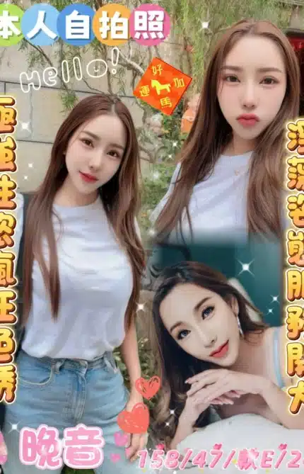 雲林定點茶-晚音/158/47/24/E