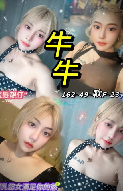 台北定點茶-牛牛/162/49/23/F