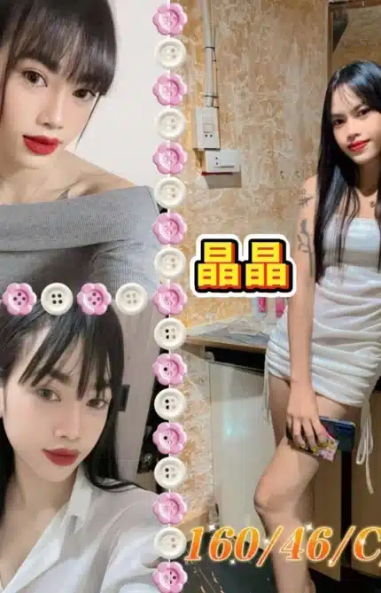 嘉義定點茶-晶晶/160/46/23/C