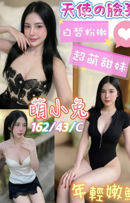 台南定點茶-萌小兔/162/43/21/C