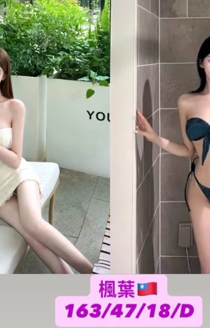 台中外送茶-楓葉/163/47/18/D