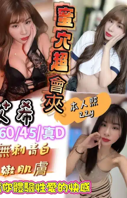 新竹定點茶-艾希/160/45/22/D