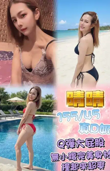 新北定點茶-晴晴/155/45/24/D