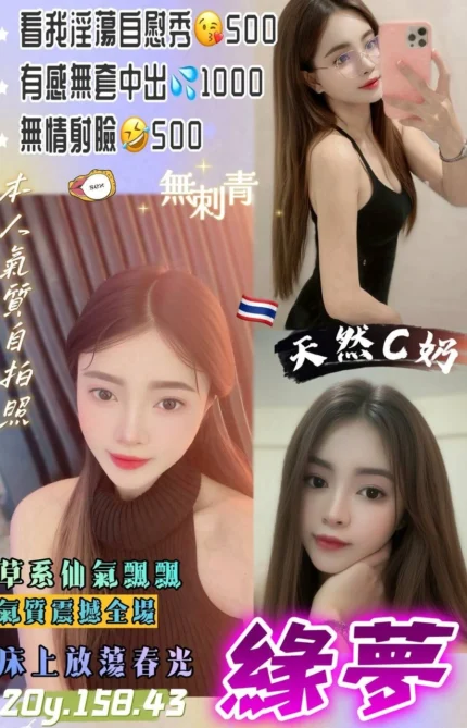 桃園定點茶-緣夢/158/43/20/C