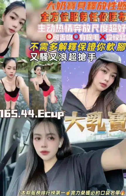 桃園定點茶-大乳寶/165/44/24/E