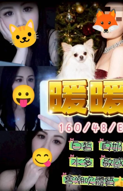 台中定點茶-暖暖/160/48/25/E