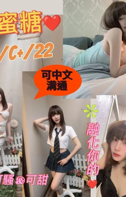 台北定點茶-蜜糖/163/47/22/C