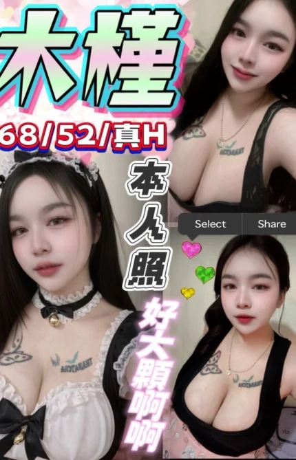 台中定點茶-木槿/168/52/?/H