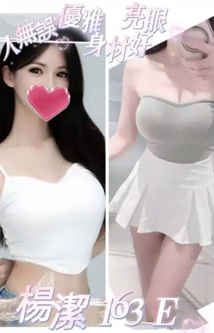 台北外送茶-楊潔/163/?/22/E