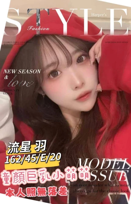 台南外送茶-流星羽/162/45/20/E