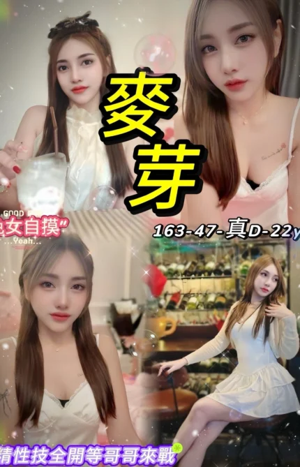 台北定點茶-麥芽/163/47/22/D