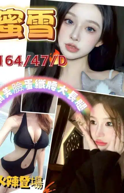 新竹定點茶-蜜雪/164/47/?/D