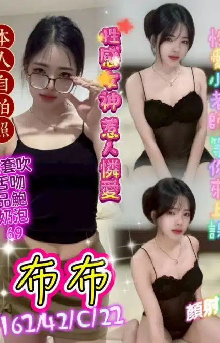 台中定點茶-布布/162/42/22/C