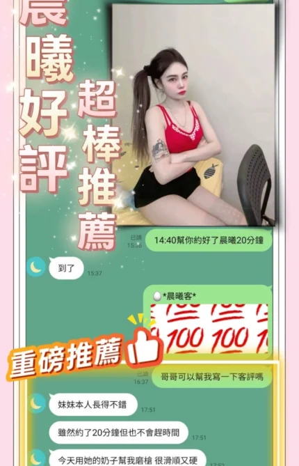 台南定點茶-晨曦/161/41/21/E