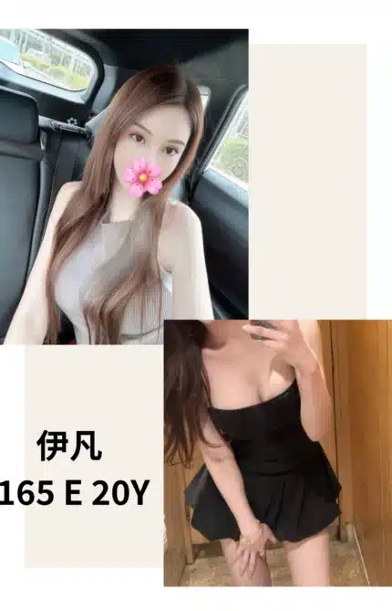 台北外送茶-伊凡/165/?/20/E