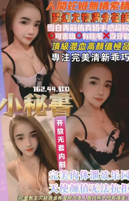 桃園定點茶-小秘書/162/44/23/D